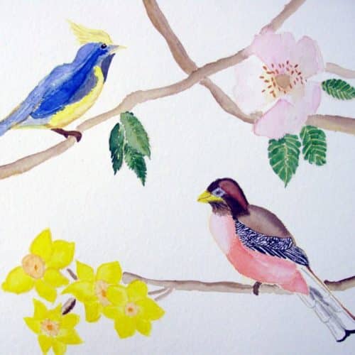 Oiseaux d'aquarelle