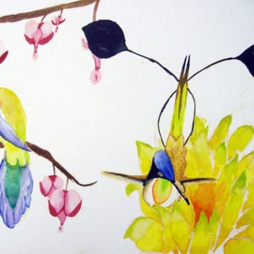 Oiseaux exotiques Aquarelle