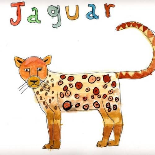 Jaguar aquarelle Faustine